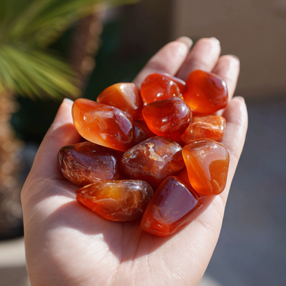 Carnelian Crystal | Confidence, Charisma &amp; Sacral Chakra Activation